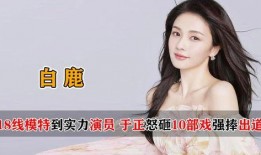 白鹿闺蜜爆料视频大全,揭秘娱乐圈背后的真相