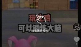 石家庄小矮子爆料视频,揭秘幕后真相