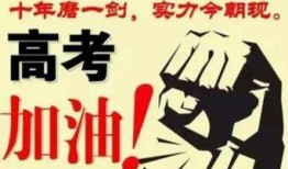 励志爆料视频,揭秘成功背后的奋斗与汗水